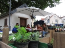 Pflanzenflohmarkt_1
